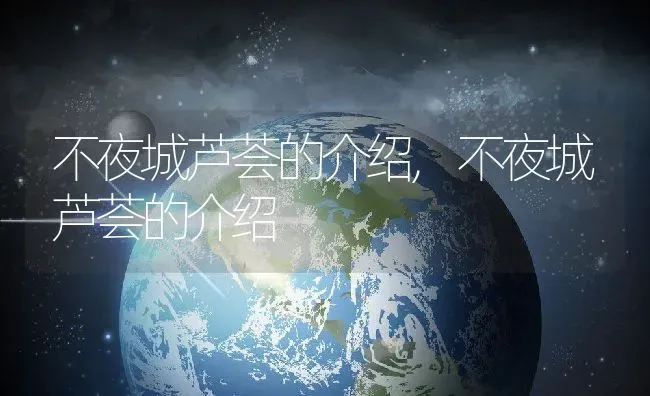 不夜城芦荟的介绍,不夜城芦荟的介绍 | 养殖常见问题