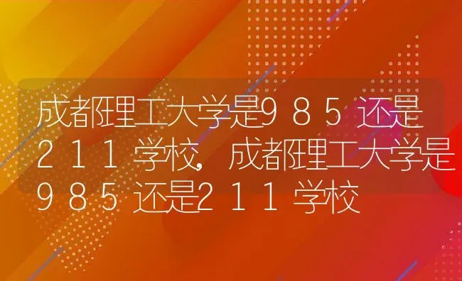 成都理工大学是985还是211学校,成都理工大学是985还是211学校 | 养殖常见问题