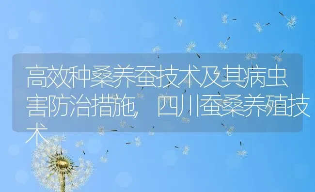 高效种桑养蚕技术及其病虫害防治措施,四川蚕桑养殖技术 | 养殖常见问题