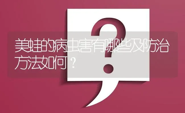 美蛙的病虫害有哪些及防治方法如何? | 养殖问题解答