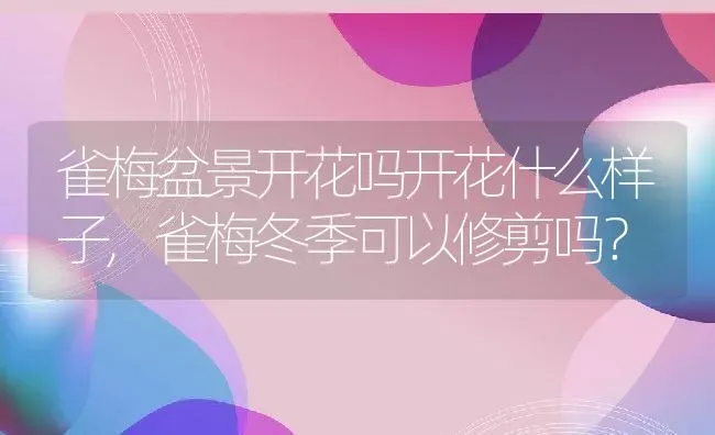 雀梅盆景开花吗开花什么样子,雀梅冬季可以修剪吗？ | 养殖常见问题