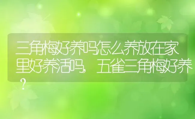 三角梅好养吗怎么养放在家里好养活吗,五雀三角梅好养？ | 养殖常见问题