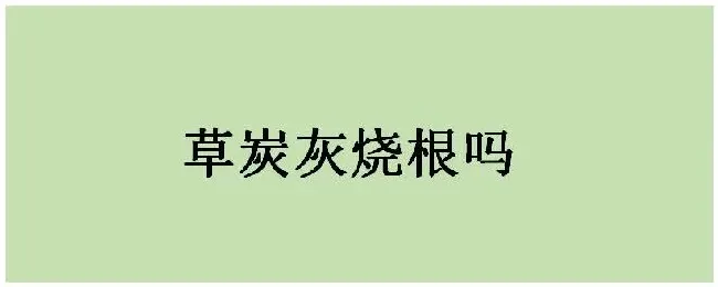 草炭灰烧根吗 | 农业常识