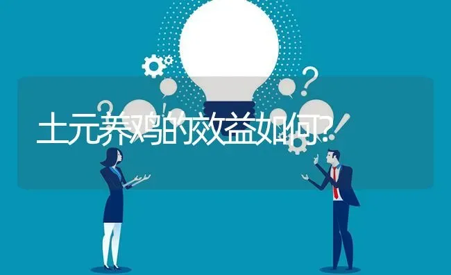 土元养鸡的效益如何? | 养殖问题解答