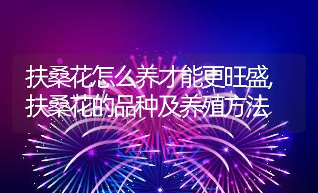 扶桑花怎么养才能更旺盛,扶桑花的品种及养殖方法 | 养殖常见问题