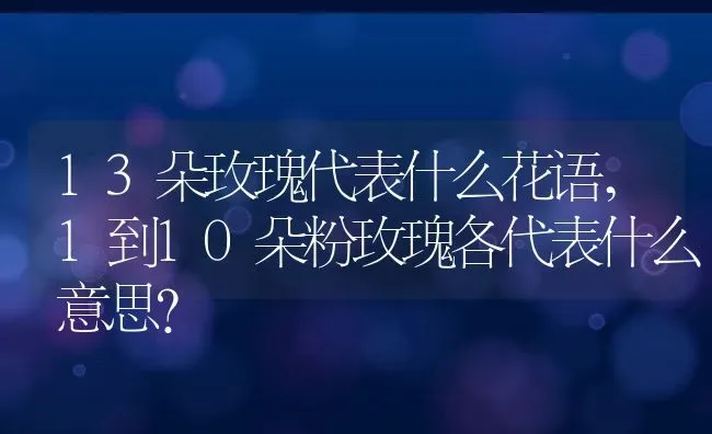 13朵玫瑰代表什么花语,1到10朵粉玫瑰各代表什么意思？ | 养殖常见问题
