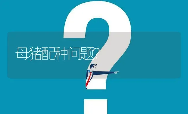 母猪配种问题? | 养殖问题解答