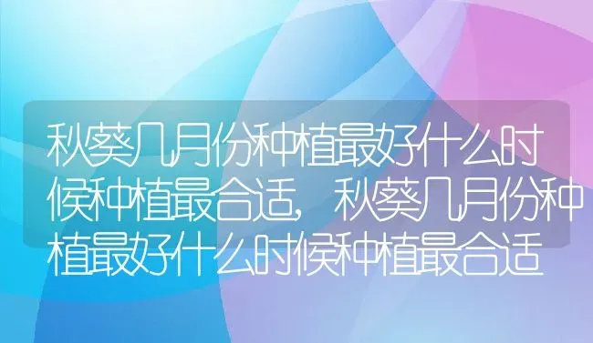 秋葵几月份种植最好什么时候种植最合适,秋葵几月份种植最好什么时候种植最合适 | 养殖常见问题