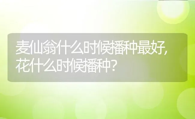 麦仙翁什么时候播种最好,花什么时候播种？ | 养殖常见问题