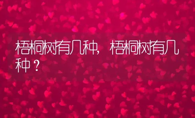 梧桐树有几种,梧桐树有几种？ | 养殖常见问题