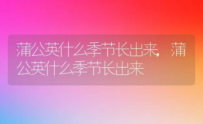 蒲公英什么季节长出来,蒲公英什么季节长出来 | 养殖常见问题