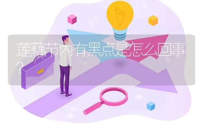 莲藕节内有黑点是怎么回事? | 养殖问题解答