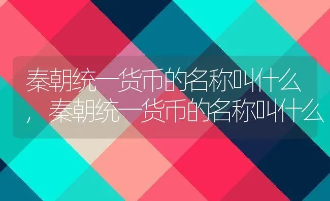 秦朝统一货币的名称叫什么,秦朝统一货币的名称叫什么 | 养殖常见问题