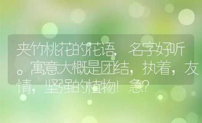 夹竹桃花的花语,名字好听。寓意大概是团结，执着，友情，坚强的植物！急？ | 养殖常见问题