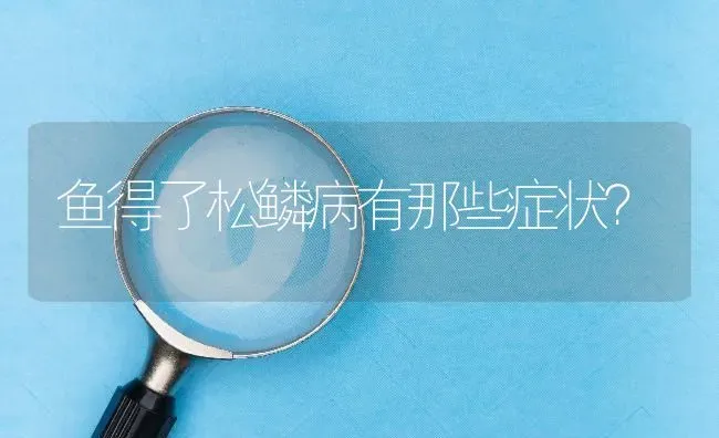 鱼得了松鳞病有那些症状? | 养殖问题解答