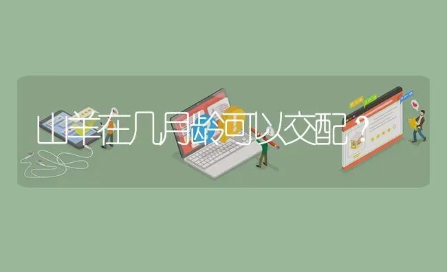 山羊在几月龄可以交配? | 养殖问题解答