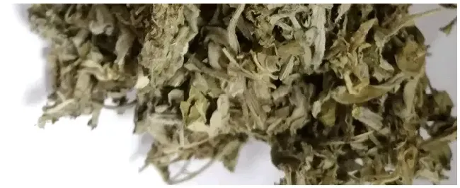 艾草茶的功效与作用有什么 | 农业常识