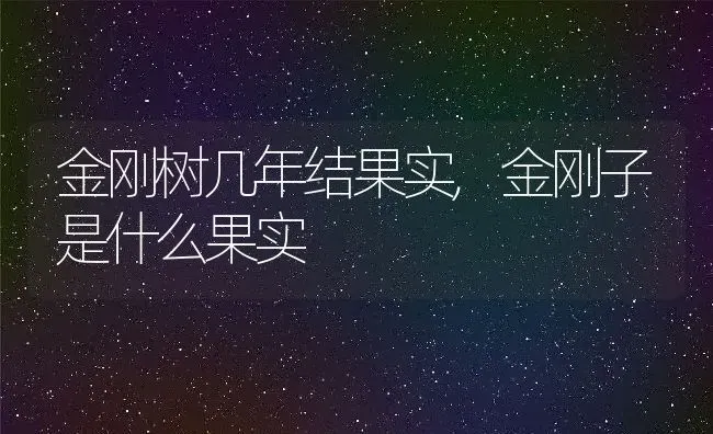 金刚树几年结果实,金刚子是什么果实 | 养殖常见问题