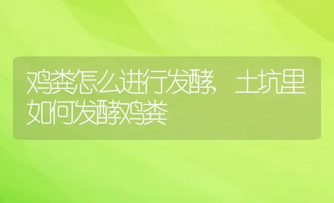 鸡粪怎么进行发酵,土坑里如何发酵鸡粪 | 养殖常见问题