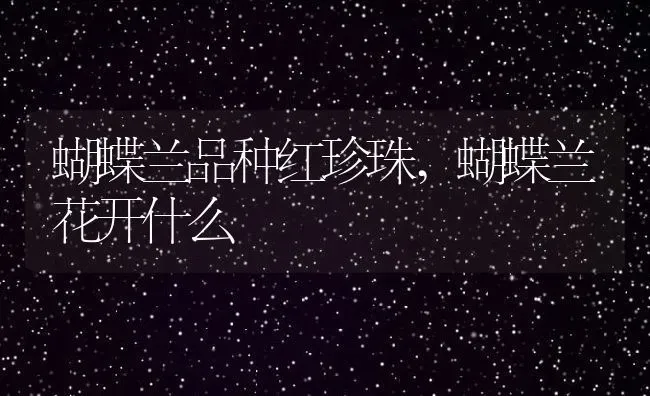 蝴蝶兰品种红珍珠,蝴蝶兰花开什么 | 养殖常见问题
