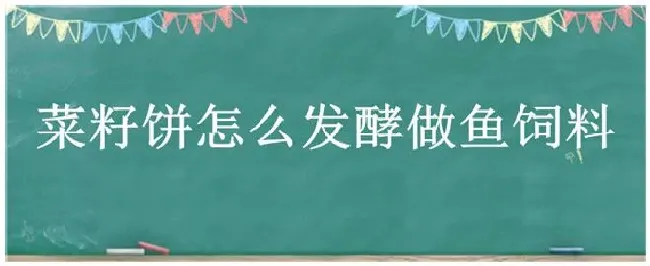 菜籽饼怎么发酵做鱼饲料 | 农业问题