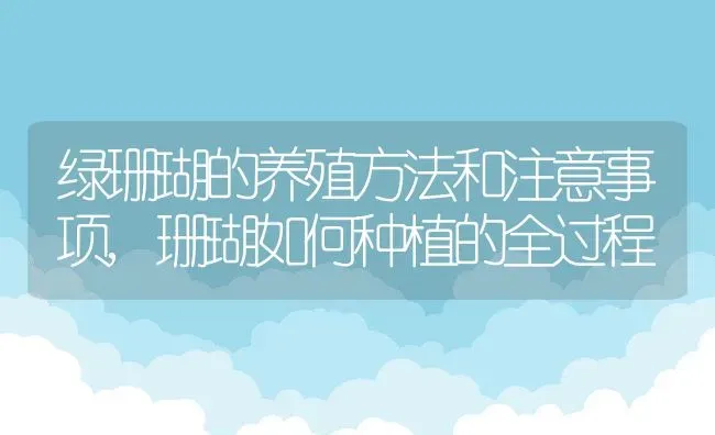 什么花的花语是告白,什么花象征着信守诺言？ | 养殖常见问题