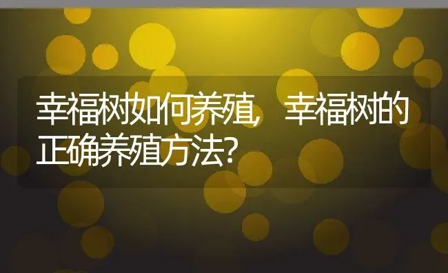 幸福树如何养殖,幸福树的正确养殖方法？ | 养殖常见问题