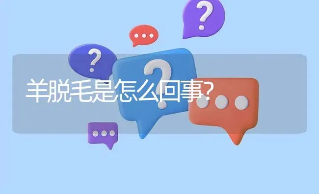 羊脱毛是怎么回事? | 养殖问题解答