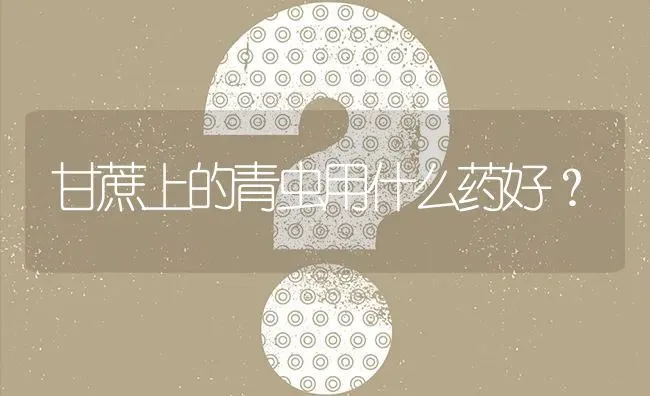 甘蔗上的青虫用什么药好? | 养殖问题解答