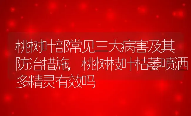 桃树叶部常见三大病害及其防治措施,桃树枝叶枯萎喷洒多精灵有效吗 | 养殖常见问题