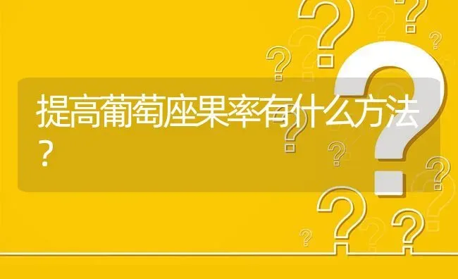 提高葡萄座果率有什么方法? | 养殖问题解答