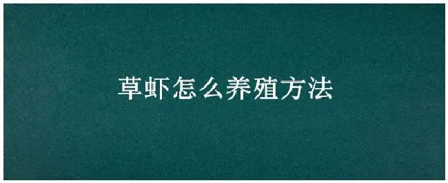 草虾怎么养殖方法 | 三农答疑