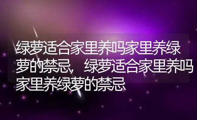 绿萝适合家里养吗家里养绿萝的禁忌,绿萝适合家里养吗家里养绿萝的禁忌 | 养殖常见问题