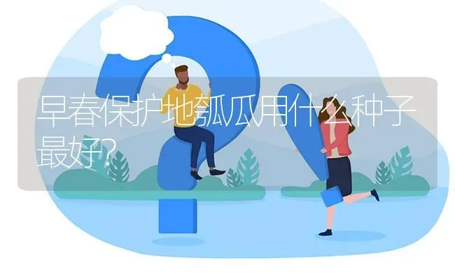 早春保护地瓠瓜用什么种子最好? | 养殖问题解答