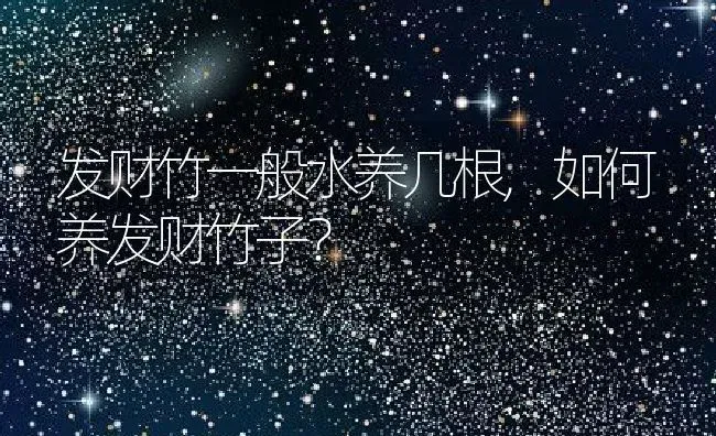 发财竹一般水养几根,如何养发财竹子？ | 养殖常见问题