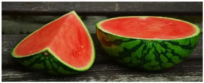 西瓜8424品种介绍 | 三农问答