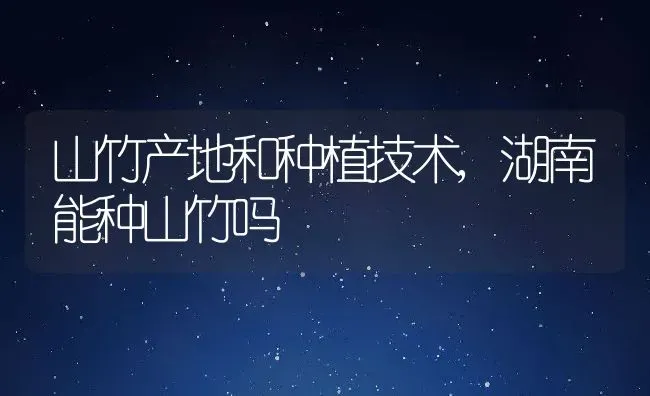 细叶美女樱是什么,大花美女樱和细叶美女樱有啥区别？ | 养殖常见问题