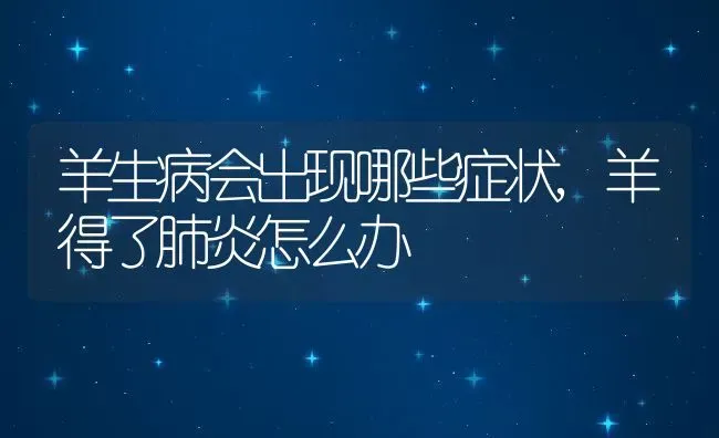 羊生病会出现哪些症状,羊得了肺炎怎么办 | 养殖常见问题