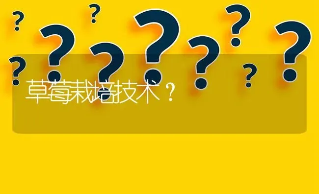 草莓栽培技术? | 养殖问题解答