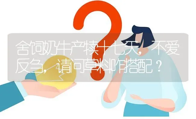 舍饲奶牛产犊十七天,不爱反刍,请问草料咋搭配? | 养殖问题解答