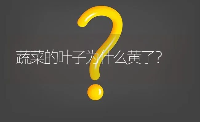 蔬菜的叶子为什么黄了? | 养殖问题解答