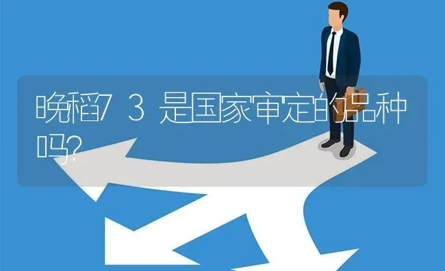 晚稻73是国家审定的品种吗? | 养殖问题解答