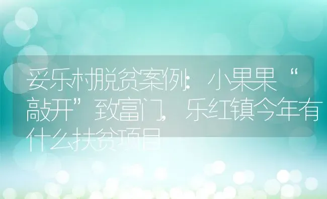 妥乐村脱贫案例:小果果“敲开”致富门,乐红镇今年有什么扶贫项目 | 养殖常见问题