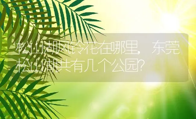松山湖风铃花在哪里,东莞松山湖共有几个公园？ | 养殖常见问题