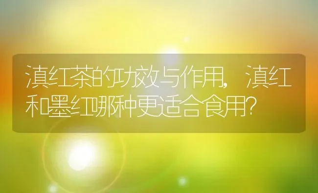 滇红茶的功效与作用,滇红和墨红哪种更适合食用？ | 养殖常见问题