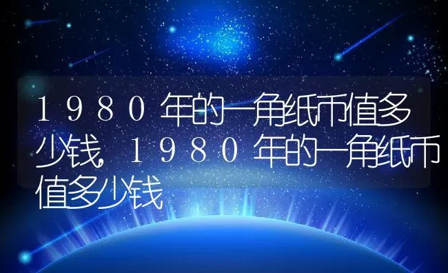 1980年的一角纸币值多少钱,1980年的一角纸币值多少钱 | 养殖常见问题