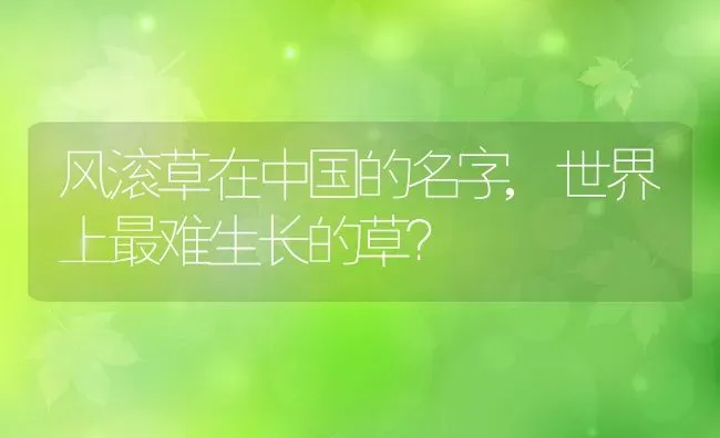 风滚草在中国的名字,世界上最难生长的草？ | 养殖常见问题