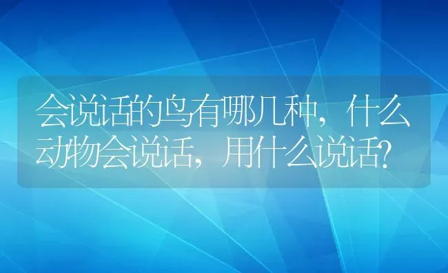 紫背万年青有毒吗可以放在室内养吗,紫背万年青如何养殖？ | 养殖常见问题