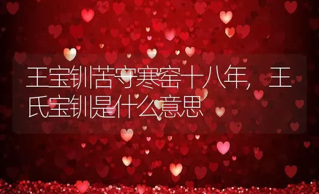 王宝钏苦守寒窑十八年,王氏宝钏是什么意思 | 养殖常见问题