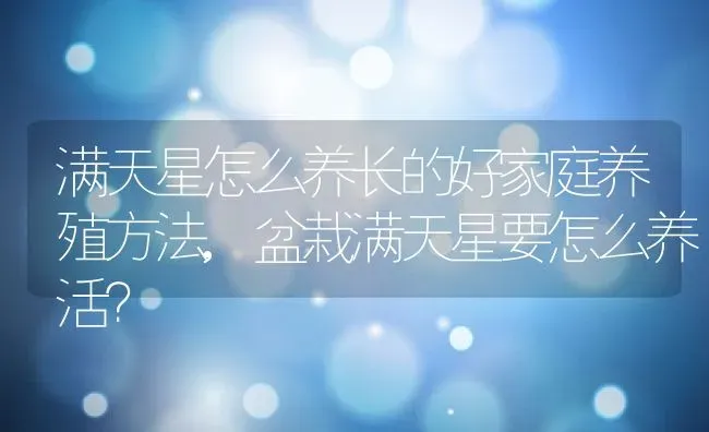满天星怎么养长的好家庭养殖方法,盆栽满天星要怎么养活？ | 养殖常见问题
